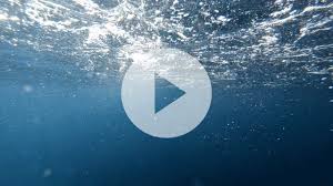 Clear Water Flow Underwater View Stock Video Clear Water Water Flow Underwater Download the perfect sea pictures. pinterest