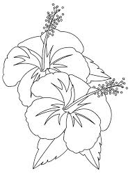 Download and print these hawaiian flowers coloring pages for free. Flowers Flower Coloring Pages Coloring Library