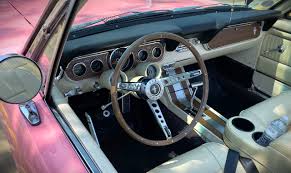 Image result for Pink 1966 Truck