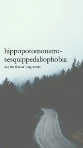 Fear Of Long Words The Name Is Slightly Ironic Rare Words Phobia Words Weird Words