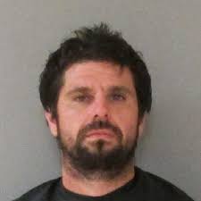 Flagler traffic stop nets convicted felon