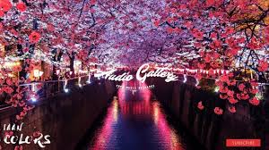 Happy Background Music Iaan Colours No Copyright Music Copyright Music Music Colours