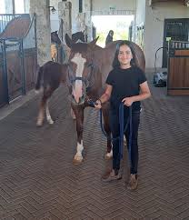 Profile for 70 Stables