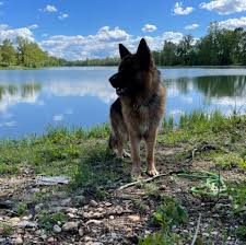 We did not find results for: Les Photos De Nany Les Pinatas De Kiki Pages Directory