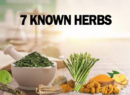 Ayurvedic Approach To Knee Pain 7 Known Herbs 4 Essential Oils Home Remedies Exercise And Massage Wellvenue