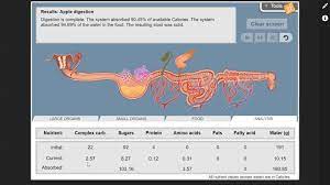 Maybe you would like to learn more about one of these? Al Hussan International Schools Ahisk Digestive System Simulation Facebook