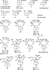 Image result for Crotalaria argyrolobioides