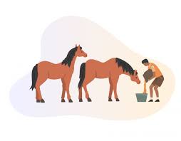 Aaron's pottsville, boyer's food markets, dbr industrial services, koch farm service, peace frog… 03/31/2021 in featured. How To Start An Animal Rescue