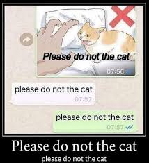 Maybe you would like to learn more about one of these? The Best Please Do Not The Cat Memes Memedroid