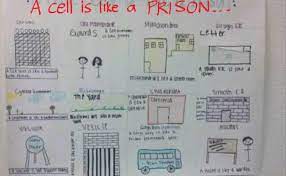In a plant cell a stiff wall surrounds the cell membrane, giving the cell a rigid boxlike shape. S1 Cell Analogy Project Flipped Science Classroom
