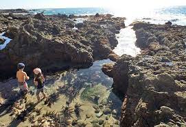 Victoria Beach Tower And Tide Pools Laguna Beach Day Trip Victoria Beach Laguna Beach Day Trip