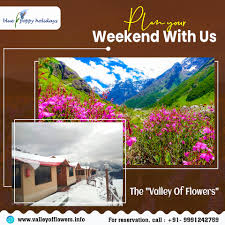 The valley was first discovered accidentally by a group of mountaineers in 1931 who were returning from an expedition to mount kamet. Valley Of Flowers National Park Chamoli Uttarakhand India Startseite Facebook