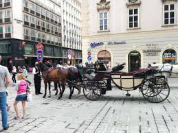 The earliest use of the word in english is cited by the oxford english dictionary as from 1699 (fiacres or hackneys, hung with double springs). Fiaker Treffpunkt Am Stephansdom Bild Fiaker Rundfahrt In Wien