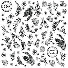 Nz native flower racemes, new zealand (nz) stock photo. Botanical Black And White Illustration Beeswax Wrap Design New Zealand Native Flowers And Pla Plant Logo Graphic Design Branding Black And White Illustration