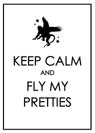 #cabin pressure #you know you're addicted #just a short list #go ahead and reblog with your own addenda #fly my pretties #fly. Keep Calm And Fly My Pretties Blank Card Set On Etsy 12 00 Calm Quotes Wizard Of Oz Quotes Keep Calm Quotes