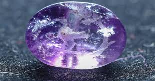 Image result for Ischaemum amethystinum