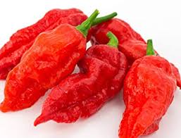 I dug a circular hole four feet wide and 2 foot deep. Ghost Pepper Plants Vs Zombies Wiki Fandom
