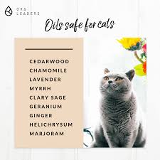 Those two are completely safe for cats and even come with several health benefits. Doterra Oils Safe For Cats Are Essential Oils Safe Essential Oils Cats Essential Oils Dogs
