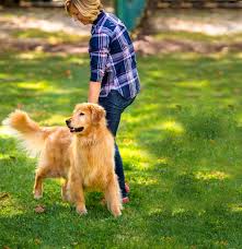 Many areas of the country have a higher cost of living than others, which then translates into higher costs for pet foods, medications and veterinary care. Starting At 399 Self Installed Pet Stop By Dog Fencing Systems