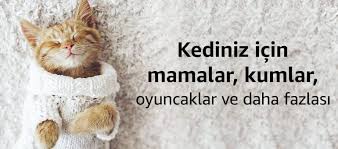 Amazon Com Tr Kediler Evcil Hayvan Urunleri Mamalar Kedi Kumu Ve Tuvalet Egitimi Urunleri Oyuncaklar Ve Fazlasi