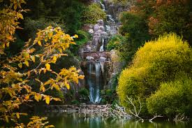 1,346 likes · 30 talking about this · 22,294 were here. Where To See Fall Foliage In The Bay Area Kqed