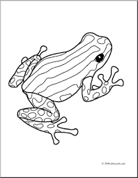 Pin By Michelle Eberly On Jungle Inspired Art Ideas Frog Coloring Pages Frog Art Frog Drawing