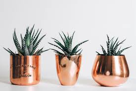 Aesthetic Photography Rose Gold Aesthetic Wallpaper Desktop Total Update We hope you enjoy our rising collection of aesthetic wallpaper. aesthetic photography rose gold aesthetic wallpaper desktop total update