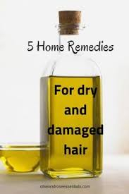 5 Home Remedies For Dry And Damaged Hair 5 Hair Mask Recipes Dry Hair Remedies Damaged Hair Remedies Dry Hair Treatment