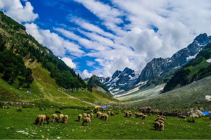 Thajiwas Glacier Sonamarg Kashmir snow view