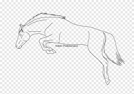 Start by outlining the head and neck. Mustang Drawing Show Jumping How To Draw A Horse Line Shading Horse Angle Png Pngegg