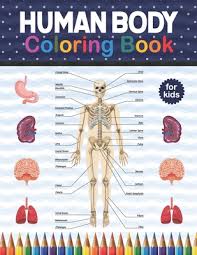 Maybe you would like to learn more about one of these? Human Body Coloring Book For Kids Human Body Anatomy Coloring Book For Kids Boys And Girls And Medical Students Great Gift For Boys Girls Ages 4 Paperback Booktowne