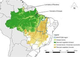 1562 map of the amazon river region. Map Of Brazil Showing The Amazon And Cerrado Biomes With Remnant Download Scientific Diagram