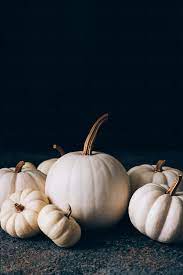 White pumpkin stock images from offset. White Pumpkins With Golden Stem On Dark Background By Natasa Mandic Pumpkin