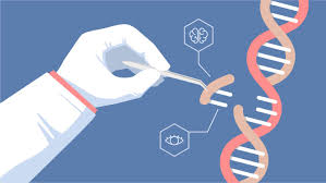 the pros and cons of genetically engineering humans