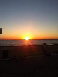 St kilda will live to fight another day. Penguins On The Pier St Kilda Melbourne Travels Of Shell