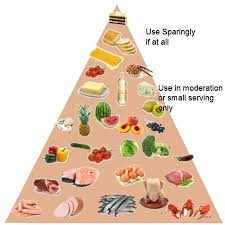 Low Carb Diet What To Eat Advantages And Disadvantages No Carb Diets Low Carb Food List Low Carbohydrate Diet