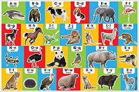 Learn the alphabet with bounce patrol in this fun series. Amazon Com Melissa Doug Animal Alphabet Floor Puzzle Easy Clean Surface Promotes Hand Eye Coordination 24 Pieces 36 L X 24 W Toys Games