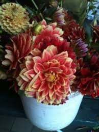 96 farmers 230+ crafters 225+ independently owned shops & restaurants #pikeplacemarket #makeitamarketday plan your trip smart.bio/pikeplacemarket. What Are These Pink Flowers From Pikes Place Market