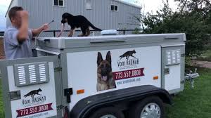 Breeders that guarantee their puppies will exhibit specific characteristics, look a certain way or grow to an exact size are providing false information. West German Showline German Shepherd Puppies For Sale Youtube