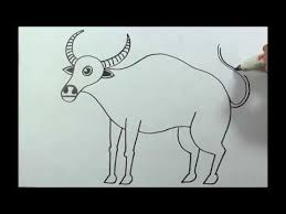 Sketsa gambar kartun binatang bestkartun. Menggambar Kerbau Belajar Cara Menggambar Binatang Darat Youtube