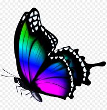 Free Free Clipart Side Butterfly Svg