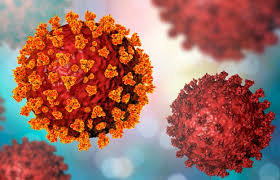 The new, more infectious variant of covid that has emerged from the u.k. Coronavirus New Variant Genomics Researcher Answers Key Questions
