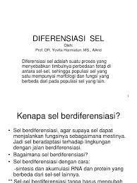 Sayangnya, hanya orang yang memiliki masalah kesehatan serius yang memikirkan gizi. 20 Cells Ideas Cell Organelles Cell Biology
