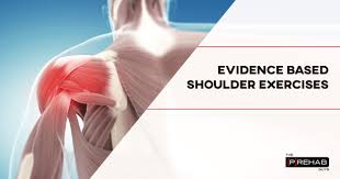 The human back extends from the buttocks to the posterior portion of the neck and shoulders. Evidence Based Shoulder Exercises For Muscle Imbalances ð—£ ð—¥ð—²ð—µð—®ð—¯