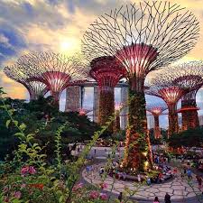 Gardens By The Bay Singapore Garden Gardens By The Bay Good Night World