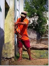 Foto kondisi hewan kebun binatang surabaya memprihatinkan! Encruser Untuk Orangutan Di Kebun Binatang Mangkang Semara Flickr