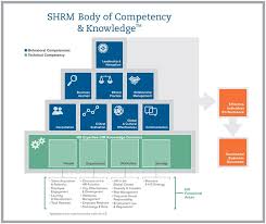 Body Of Competency Knowledge Human Resources Human Resource Management Resource Management