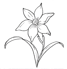 Su etsy trovi 182589 disegni fiori in vendita, e costano in media € 38,76. 29 Disegni Fiori Da Colorare