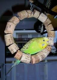 The Craft Thread Vwfd Budgerigar Forum Wellies Budgerigar Craft Forum Thread Vwfd Wellies In 2020 Diy Bird Toys Bird Toys Homemade Bird Toys