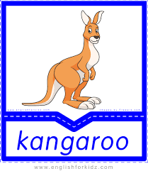 printable australian animals flashcards animal master the wards internal medicine pdf free download